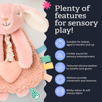 Itzy Ritzy Lovey Including Teether, Teething Relief, 0+ Months (Pink Bunny)
