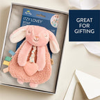 Itzy Ritzy Lovey Including Teether, Teething Relief, 0+ Months (Pink Bunny)